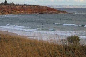C View of the beach from the dunes in the afternoon light red