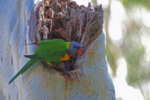 AF Inspecting the new proerty