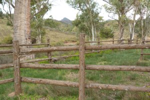 c Old bullock yard near Arkaba Station