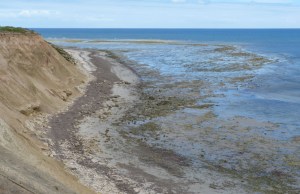 3 cliff beach and reef