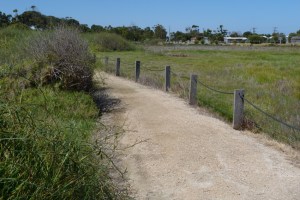 Dirt track between swamp and township