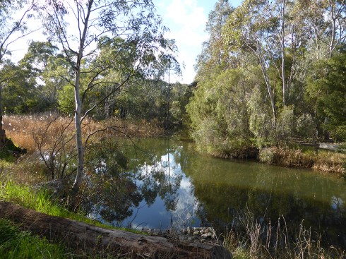 Small lake near McIntyre Rd f3.3 @1 320 sec ISO100, click to enlarge