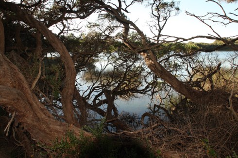 Numerous frehwater lakes in the the conservaion park provide a haven for wildlife