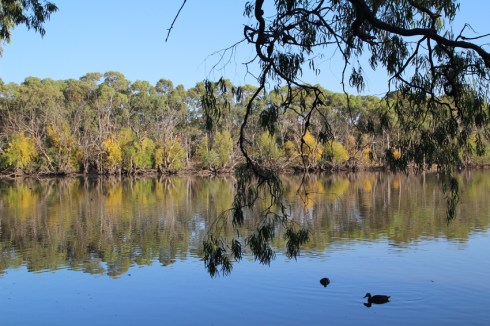 Wynne Vale Dam from the viewing platform