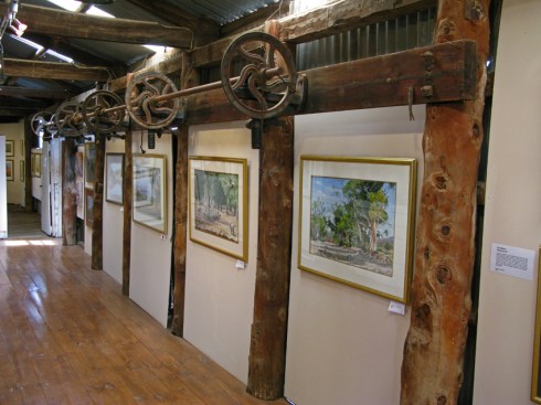Red kangaroo male and female