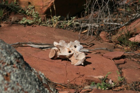 Euro nremains below a particularly steep rockface