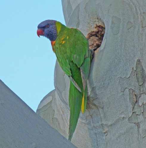 2 Hey honey come take a look