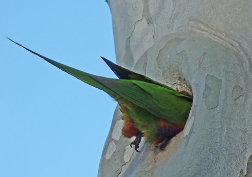 2 Taking a closer look