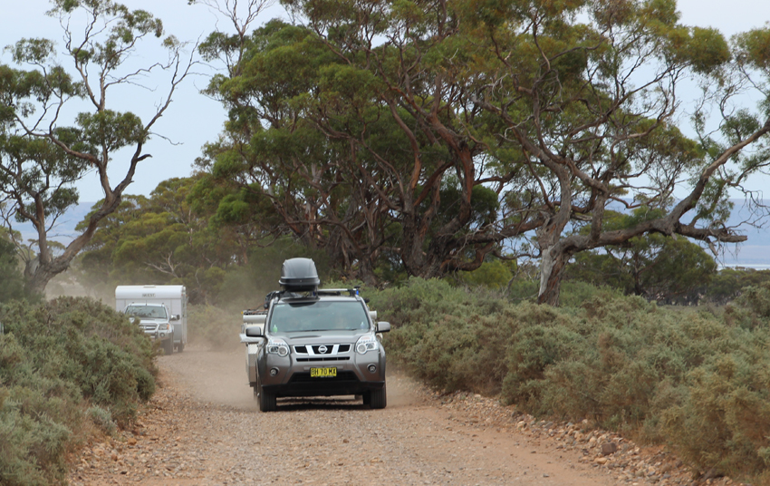 4 Visitors to the park