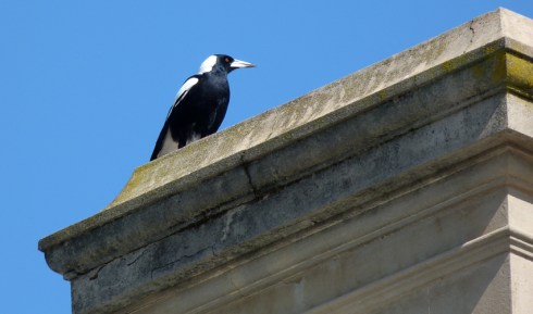 keeping an eye on proceedings